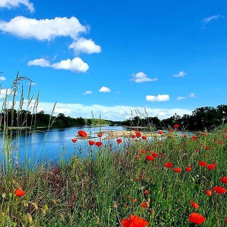 Larbrenville Gites Citadins En Centre-Ville Historique La Charité-sur-Loire Zewnętrze zdjęcie